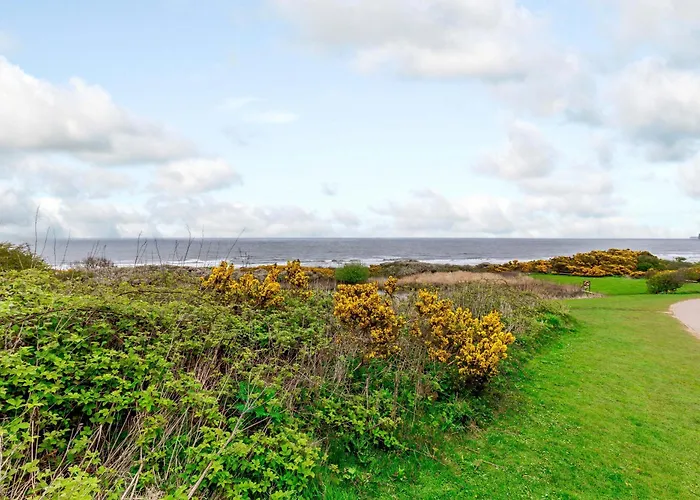 Dotty's Sunshine Reighton