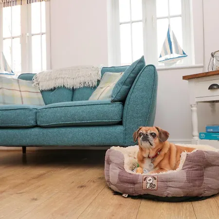 Dotty's Sunshine Casa de Férias *